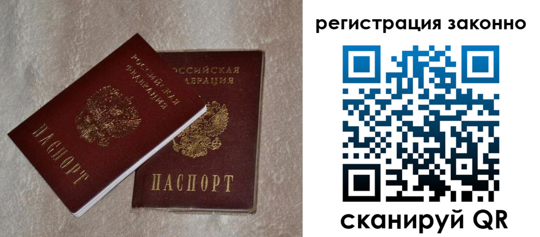 прописка законно в Курганинске